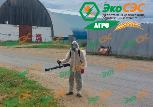 Дезинфектор